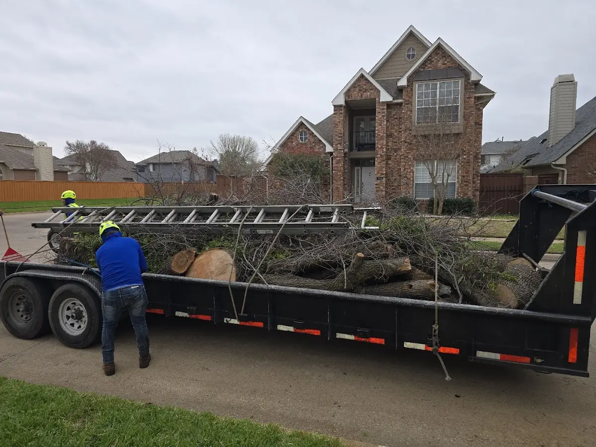 Expert Tree Fertilization with proper safety equipment in Ruidoso Downs